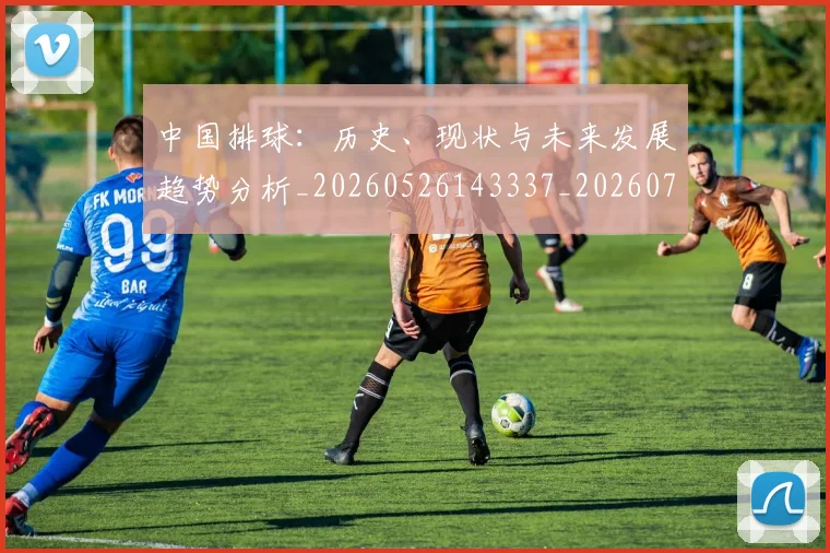 中国排球:历史、现状与未来发展趋势分析_20260526143337_20260703205541