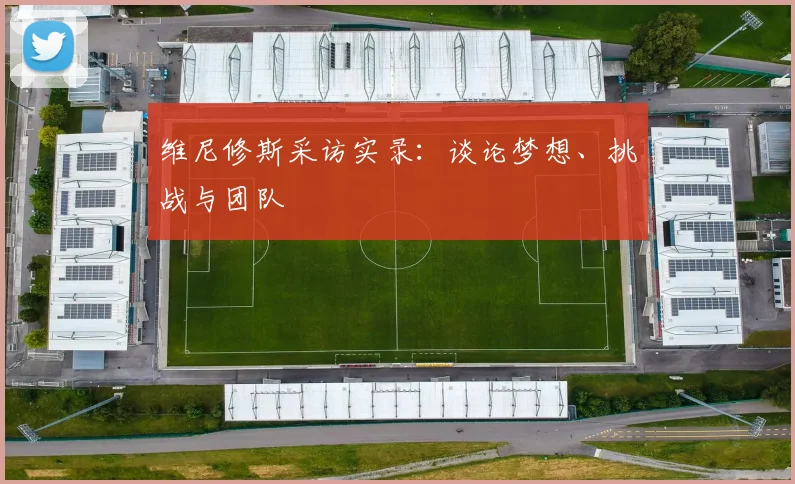维尼修斯采访实录：谈论梦想、挑战与团队