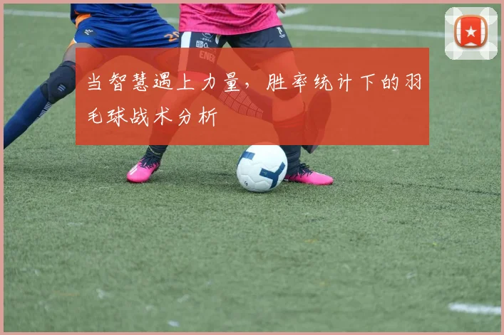 当智慧遇上力量,胜率统计下的羽毛球战术分析