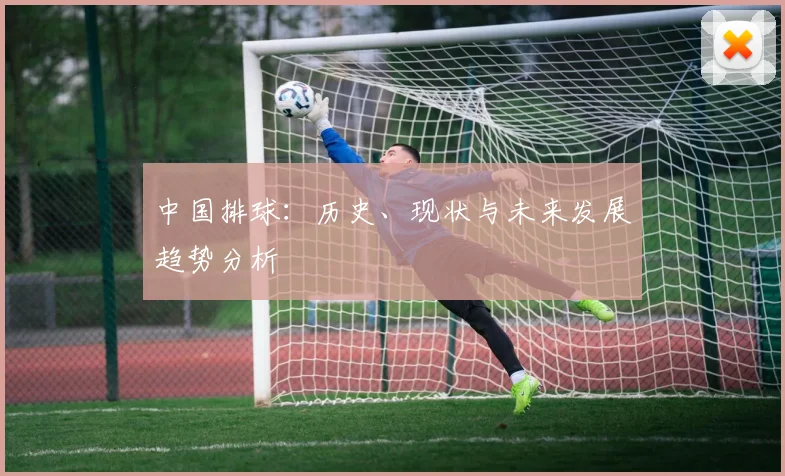 中国排球:历史、现状与未来发展趋势分析